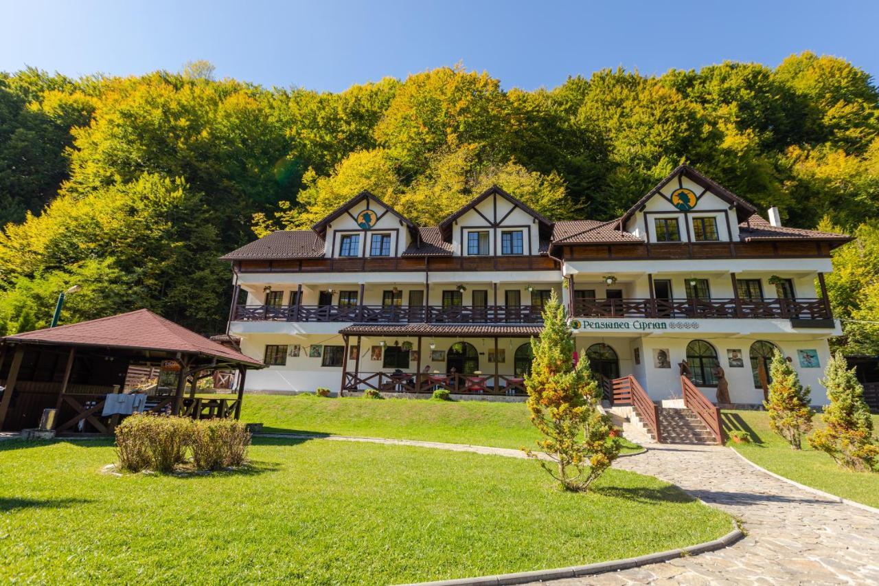 Pensiunea Ciprian Куртя-де-Арджеш Экстерьер фото