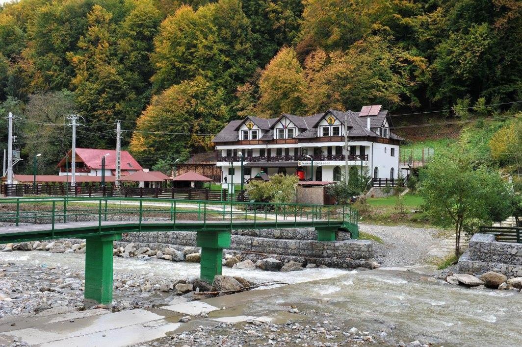 Pensiunea Ciprian Куртя-де-Арджеш Экстерьер фото